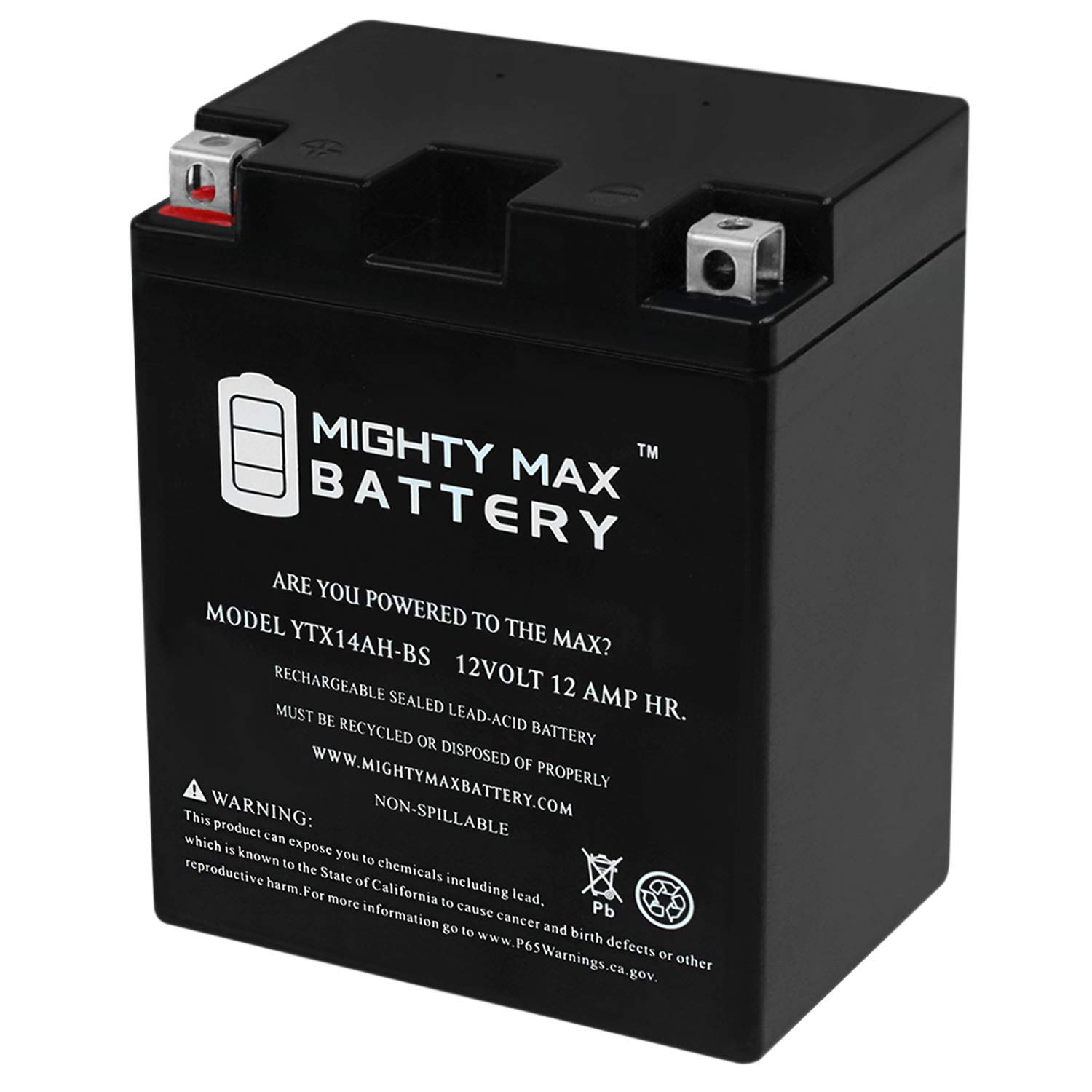 Batería Para Moto Mighty Max Battery Ytx14ah-bs 12 V 12 Ah - Venta Internacional.