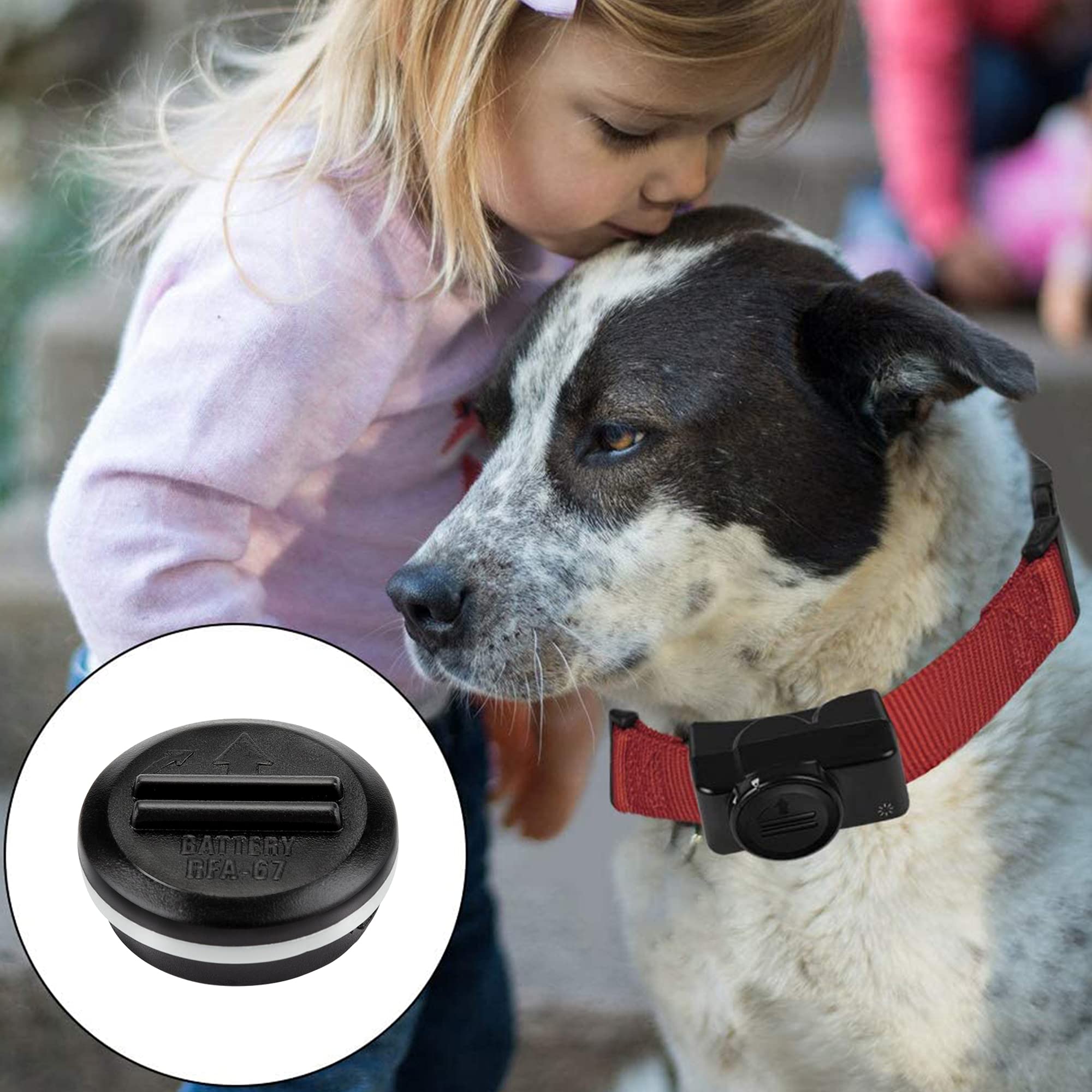 Foto 6 | Batería Lp Rfa-67, 6 V, 230 Mah, Para Collar Seguro Para Mascotas Pif-300 - Venta Internacional.