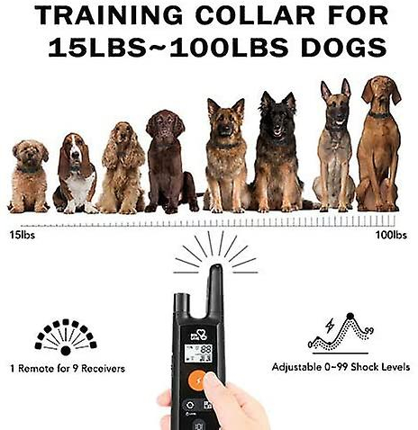 Foto 3 | Collar De Adiestramiento Para Perros Sanlin Beans Recargable Con Control Remoto - Venta Internacional.