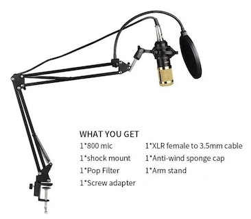 Foto 5 | Kit de Micrófono Condensador Dorado con Soporte para Brazo - Venta Internacional