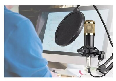 Foto 7 | Kit de Micrófono Condensador Dorado con Soporte para Brazo - Venta Internacional