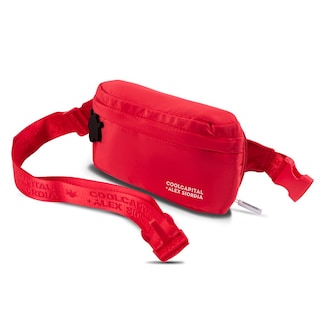 Foto 3 | Mochila para Laptop 15 Pulgadas más Crossbody Alex Siordia Cool Capital color Rojo