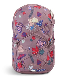 Foto 1 | Mochila The North Face Jester Everyday Fawn Grey 22l para Mujer - Venta Internacional