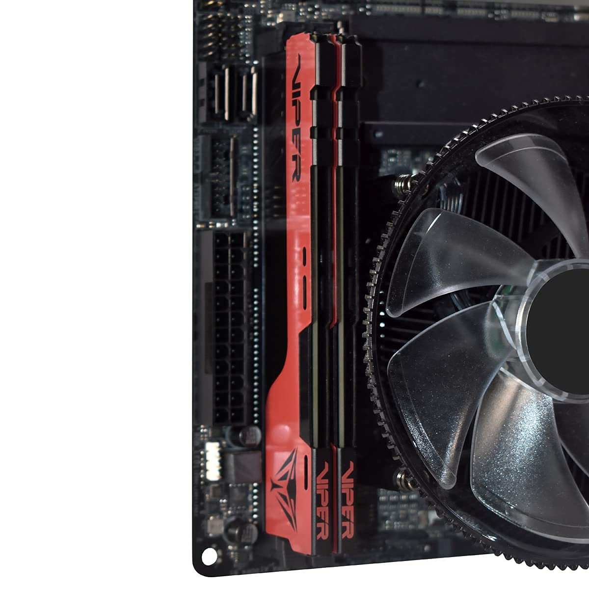 Foto 8 pulgar | Ram Patriot Viper Elite Ii Ddr4 32 Gb (2 X 16 Gb) Cl20 Udimm 4000 Mhz - Venta Internacional.