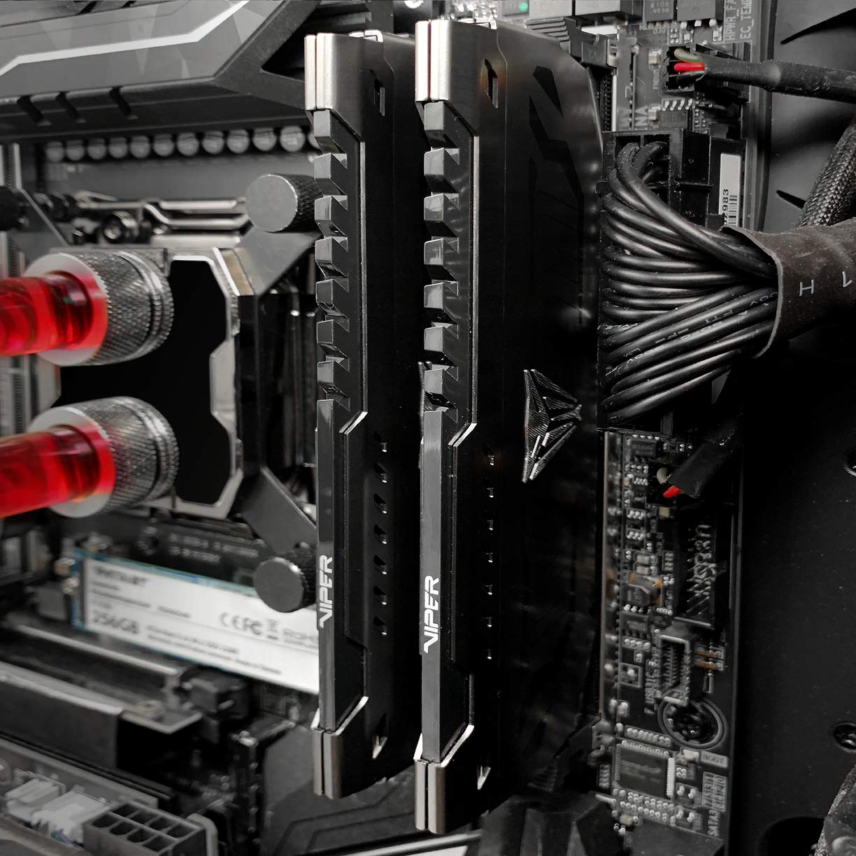 Foto 5 pulgar | Ram Patriot Viper Steel Pvs416g320c6 Ddr4 De 16 Gb A 3200 Mhz - Venta Internacional.