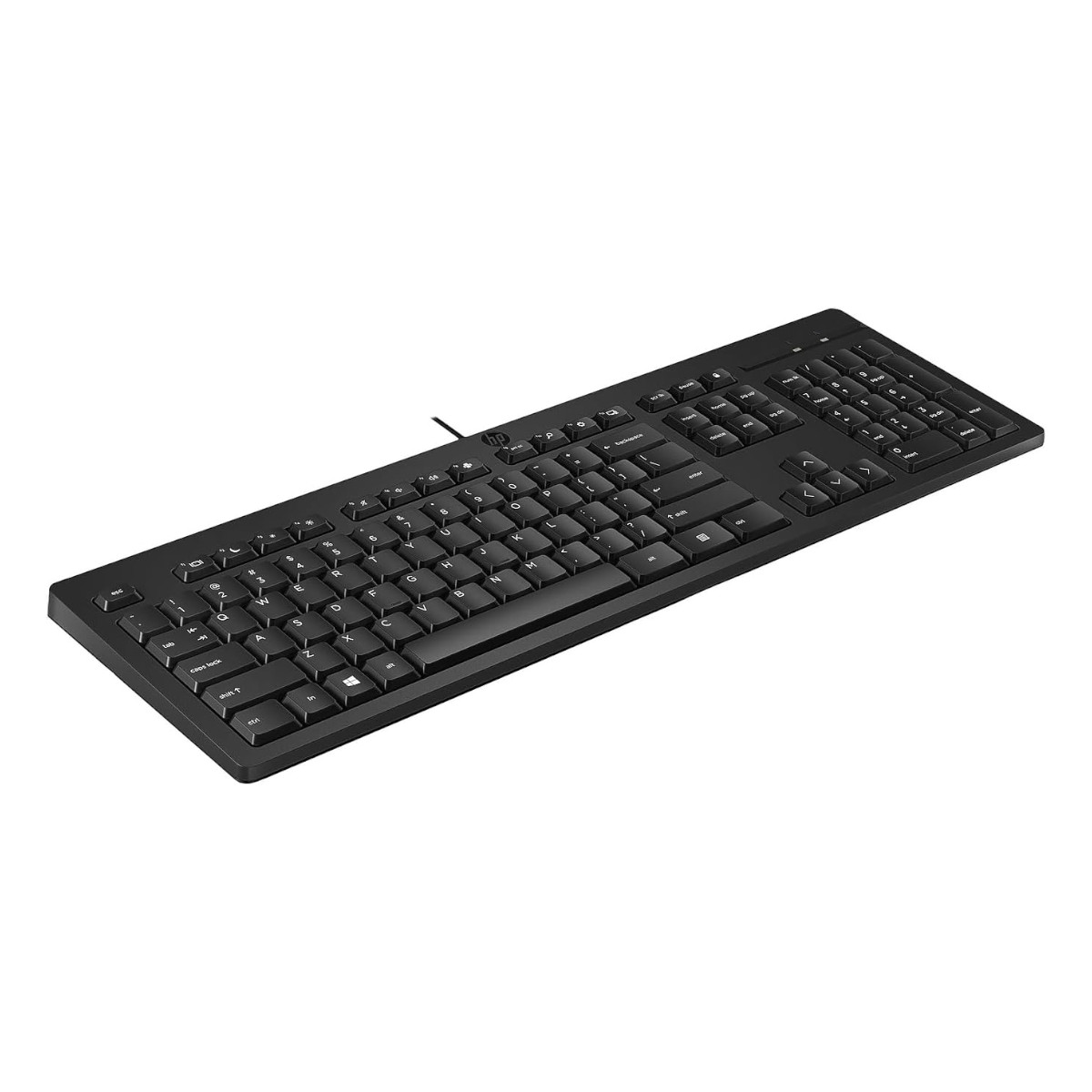 Teclado Hp 125 Alámbrico Español Usb Cable 1.8mt