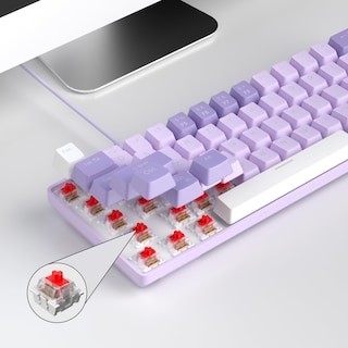 Foto 6 | Teclado Mecánico Para Juegos Magegee Mk-box 68 Teclas Con Interruptor Rojo - Venta Internacional.