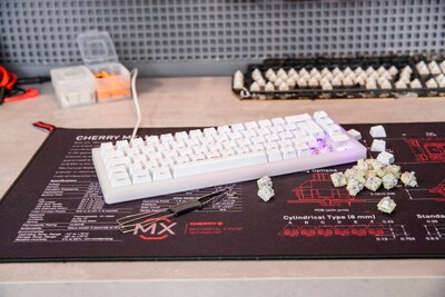 Foto 7 | Kit De Interruptores Mecánicos Para Teclado Cherry Mx Rgb Speed Silver - Venta Internacional.