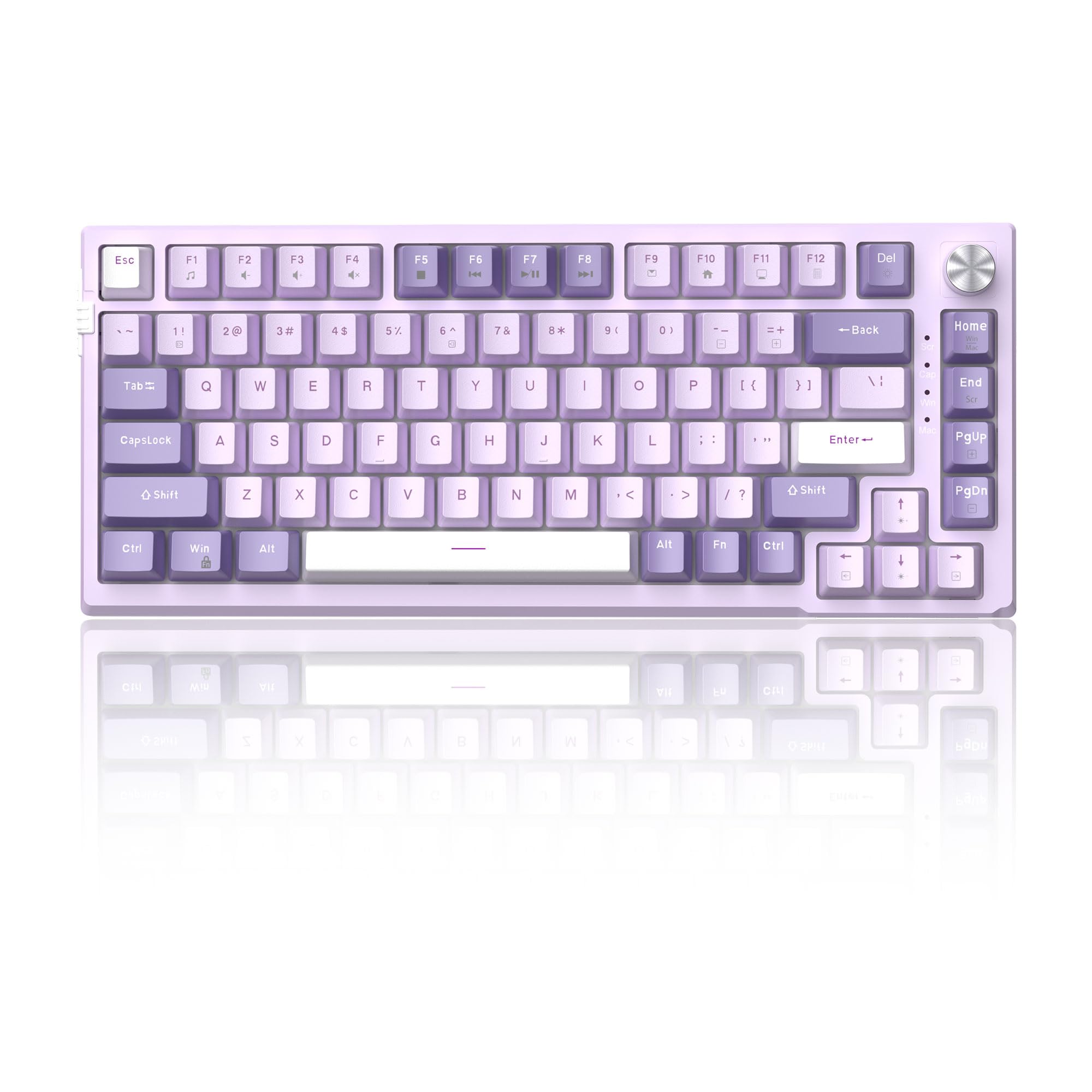 Teclado Mecánico Para Juegos Magegee Sky81 75% Violet - Venta Internacional.