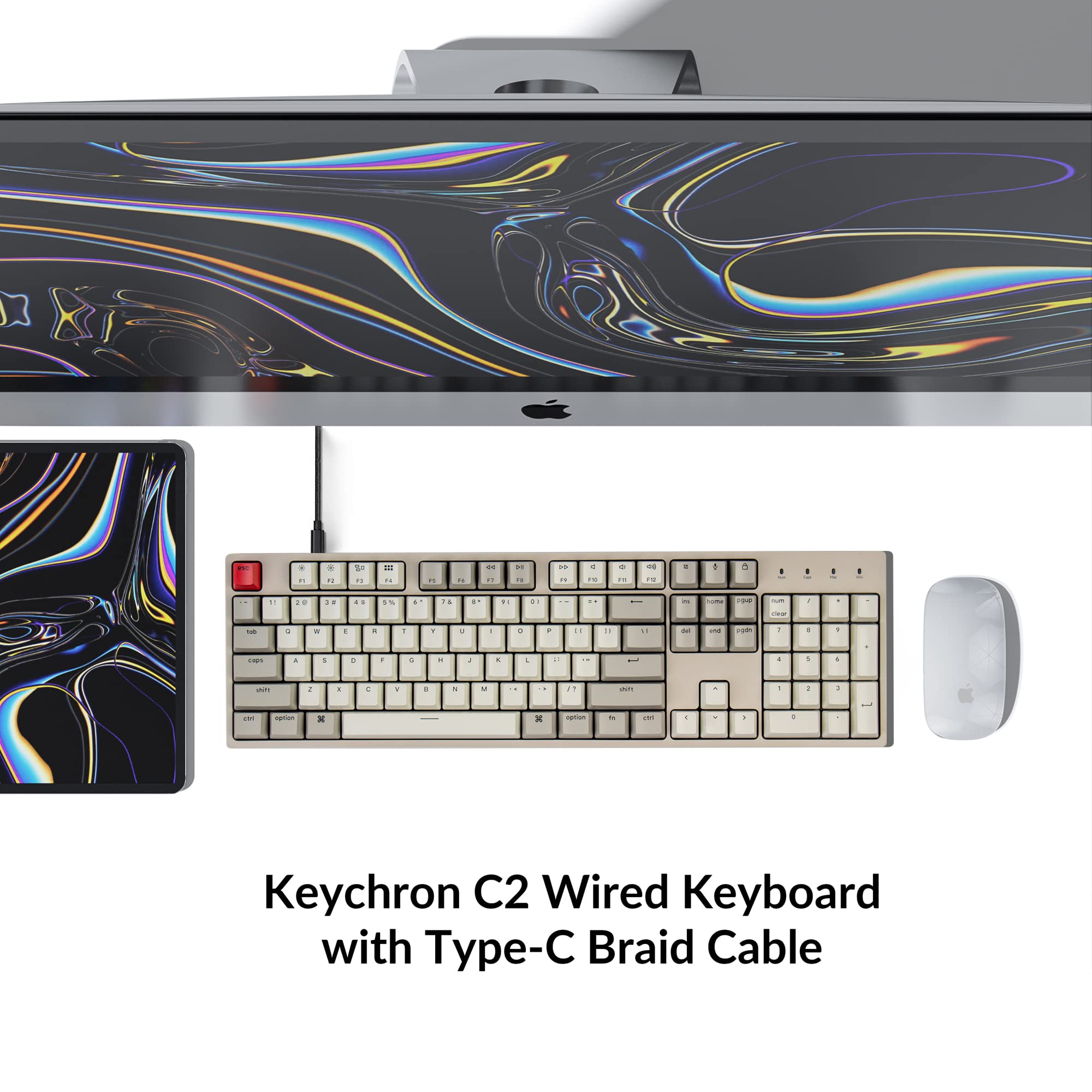 Foto 3 | Teclado Keychron C2 Interruptor Mecánico Marrón Con Cable De Tamaño Completo - Venta Internacional.