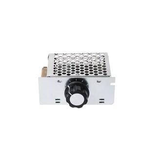 Foto 1 | Regulador De Voltaje Velocidad 110~220vac 4000w Eo Safe Imports Esi-16203 Plata