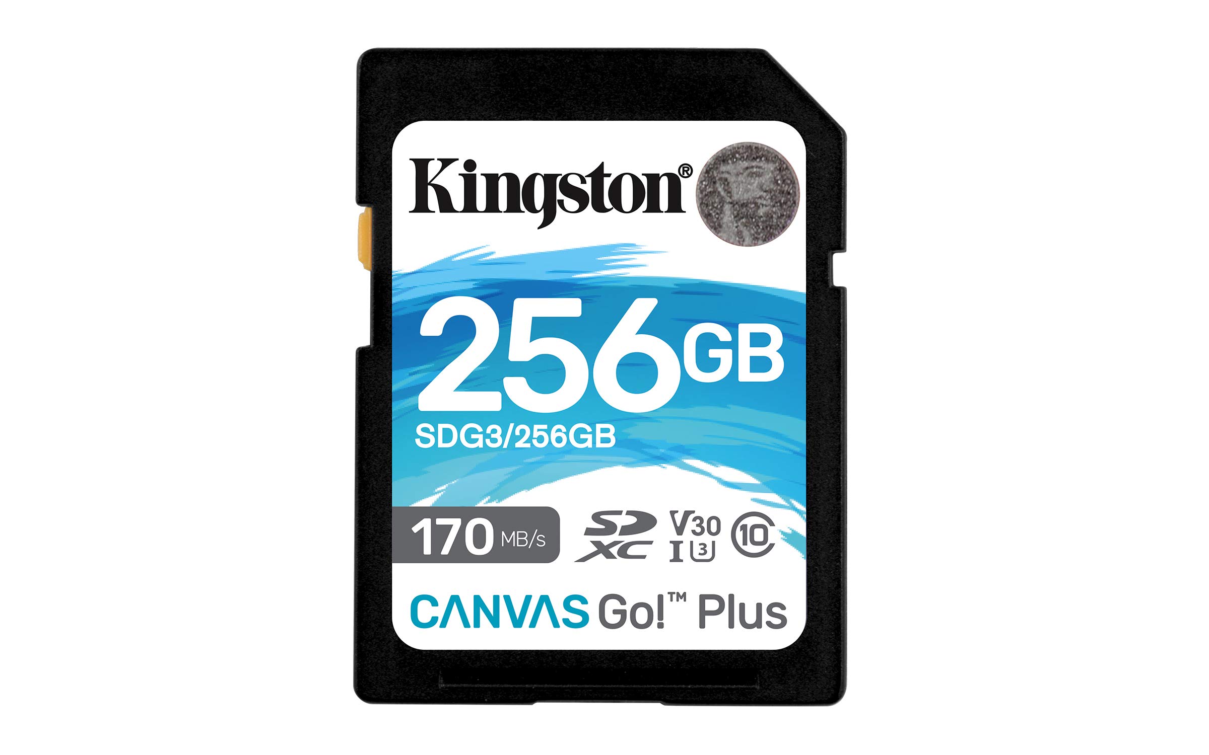 Foto 2 pulgar | Venta Internacional- Tarjeta Sdxc Kingston Canvas Go Plus 256 Gb 170 Mb/s