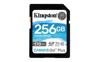 Foto 1 | Venta Internacional- Tarjeta Sdxc Kingston Canvas Go Plus 256 Gb 170 Mb/s