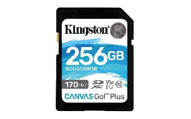 Foto 3 pulgar | Venta Internacional- Tarjeta Sdxc Kingston Canvas Go Plus 256 Gb 170 Mb/s