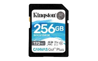 Foto 2 | Venta Internacional- Tarjeta Sdxc Kingston Canvas Go Plus 256 Gb 170 Mb/s