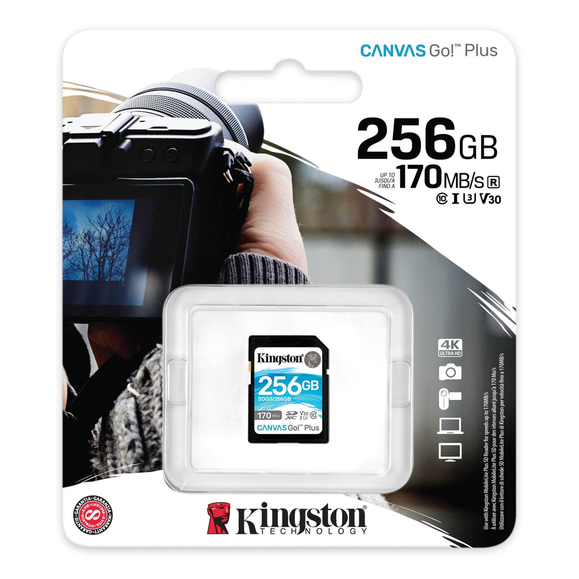 Foto 4 pulgar | Venta Internacional- Tarjeta Sdxc Kingston Canvas Go Plus 256 Gb 170 Mb/s