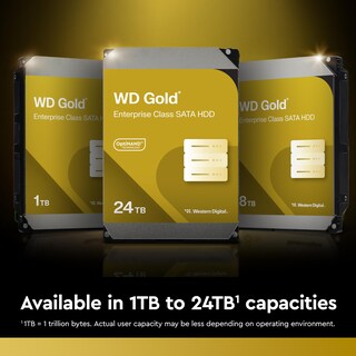 Foto 5 | Disco Duro Interno Western Digital Wd Gold 6 Tb Sata 6 Gb/s - Venta Internacional.