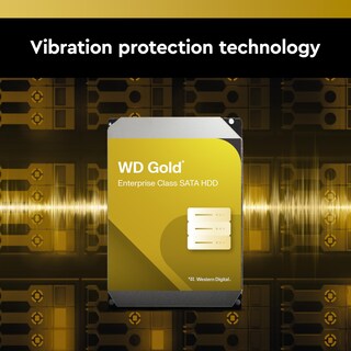Foto 6 | Disco Duro Interno Western Digital Wd Gold 6 Tb Sata 6 Gb/s - Venta Internacional.