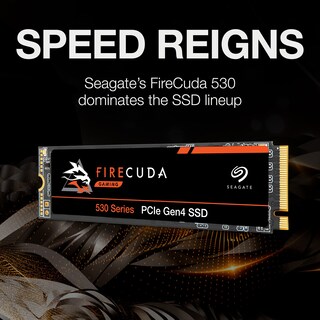 Foto 2 | Ssd Seagate Firecuda 530 De 1 Tb M.2 Pcie Gen4 Nvme - 7300 Mb/s - Venta Internacional.