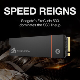 Foto 2 | Unidad De Estado Sólido Seagate Firecuda 530 De 1 Tb M.2 Pcie Gen4 Nvme 1.4 - Venta Internacional.