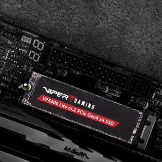 Foto 7 | Memoria Ssd Patriot Viper Vp4300 Lite De 1 Tb M.2 Pcie Gen4 X4 - Venta Internacional.