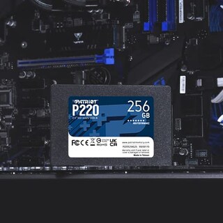 Foto 4 | Ssd Interno Patriot P220 256 Gb Sata 3 2.5 - P220s256g25 - Venta Internacional.