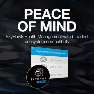 Foto 4 | Disco Duro Interno Seagate Skyhawk Ai 20tb Sata 3.5'' - Venta Internacional.