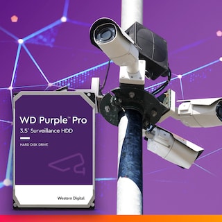 Foto 3 | Disco Duro Western Digital Wd Purple Pro 10 Tb Sata 6 Gb/s - Venta Internacional.