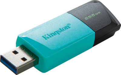 Foto 1 | Memoria Usb Kingston 256gb 3.2 Gen 1 Exodia Dtxm/256g