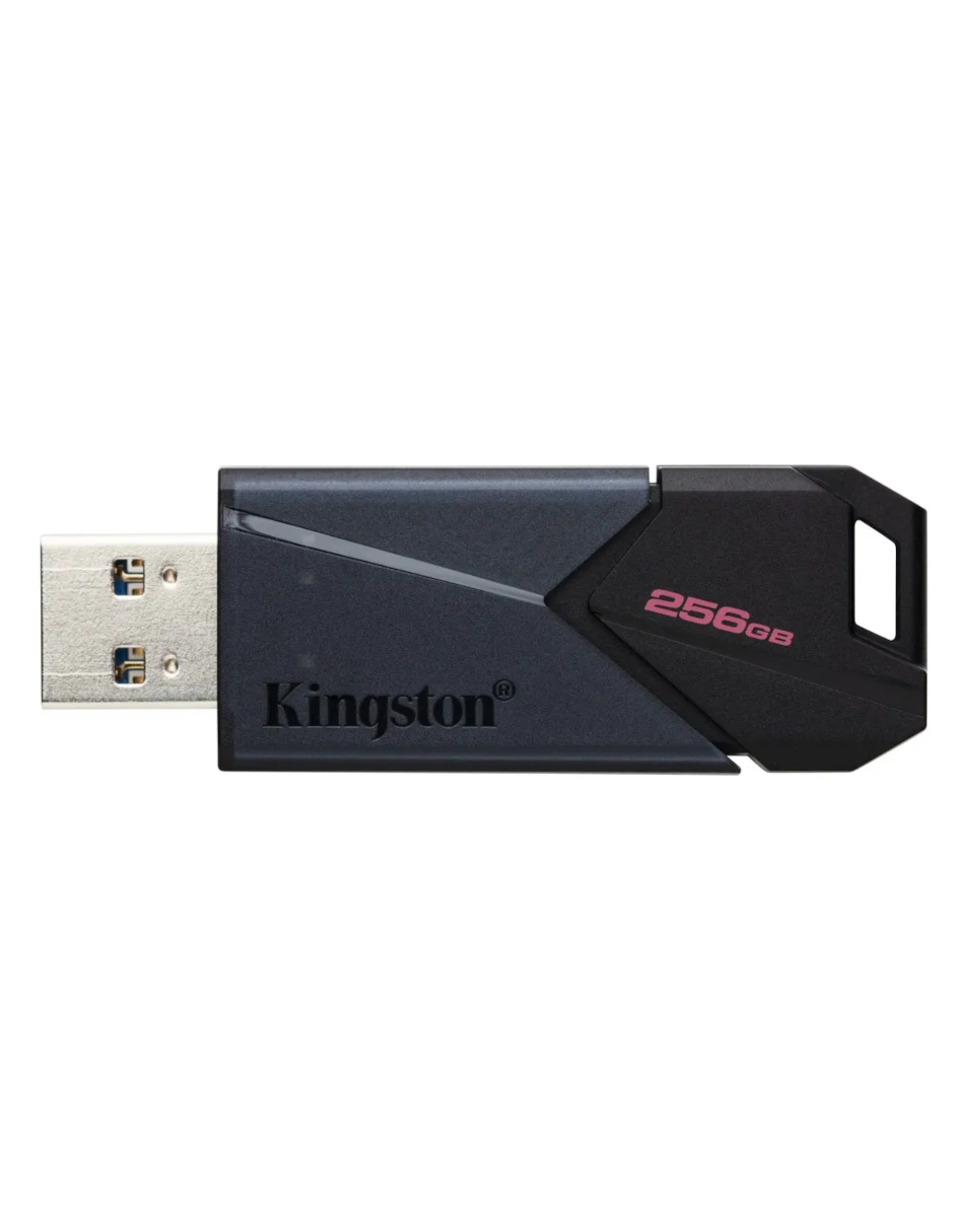 Foto 5 pulgar | Memoria Usb-a Kingsto 256g  Color Negro Liso + Termo Güish Gratis