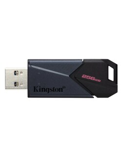 Foto 4 | Memoria Usb-a Kingsto 256g Color Negro Liso + Termo Güish Gratis