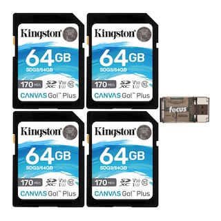 Foto 1 | Tarjeta De Memoria Kingston Canvas Go Plus 64gb Sdxc 170mb/s - Venta Internacional.