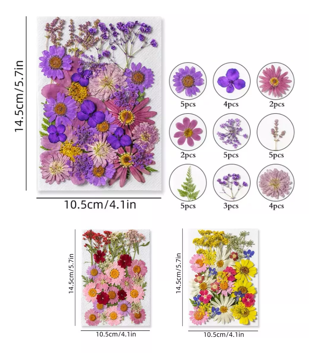 Foto 4 pulgar | Paquete Flores Secas Naturales Prensadas Para Manualidades Modelo 1, Multicolor