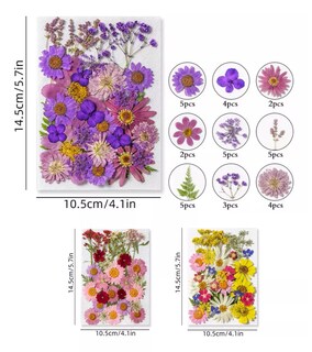 Foto 3 | Paquete Flores Secas Naturales Prensadas Para Manualidades Modelo 1, Multicolor