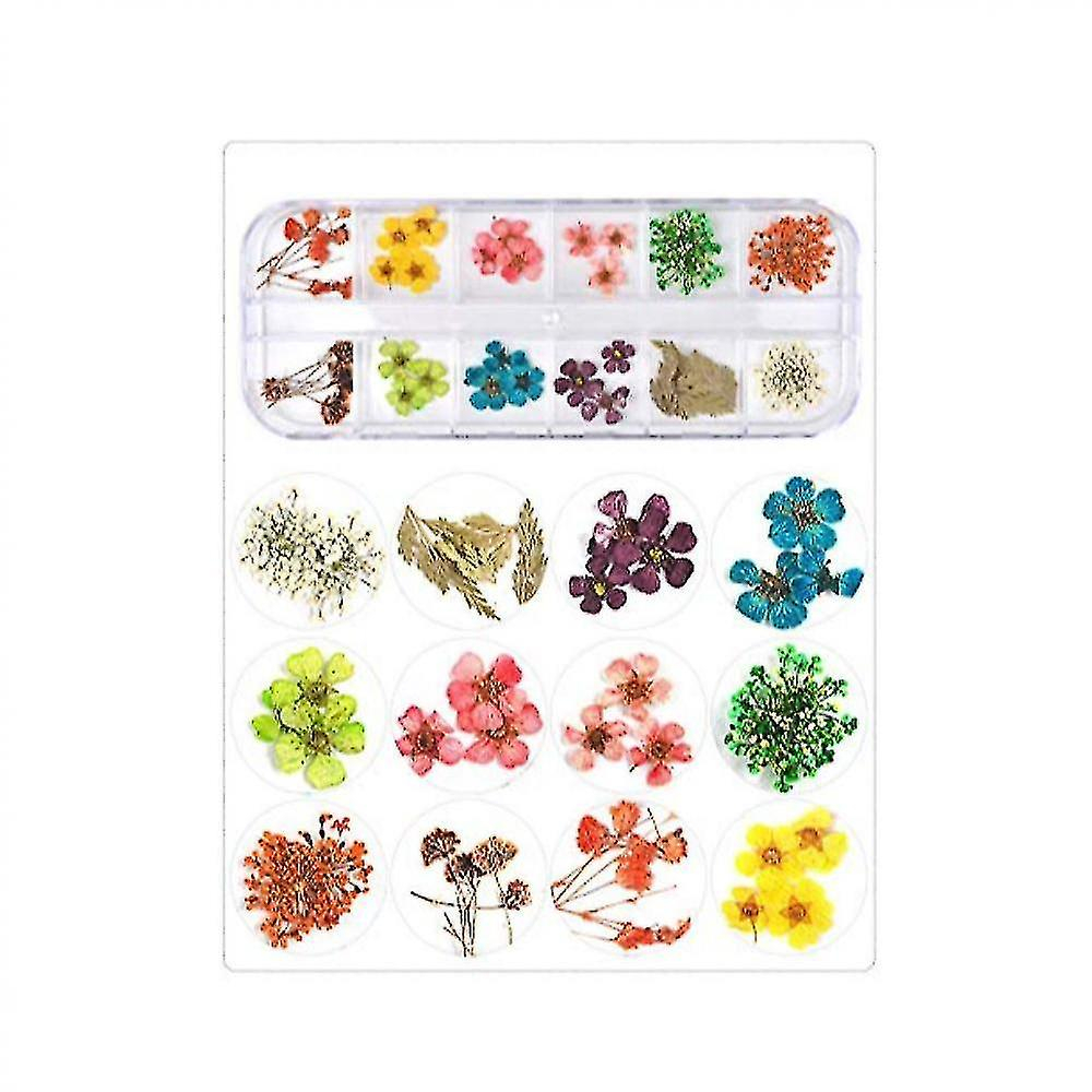 Foto 2 pulgar | Accesorios Para Decoración De Uñas Con Flores Secas Colorful Life  12 Colores - Venta Internacional.