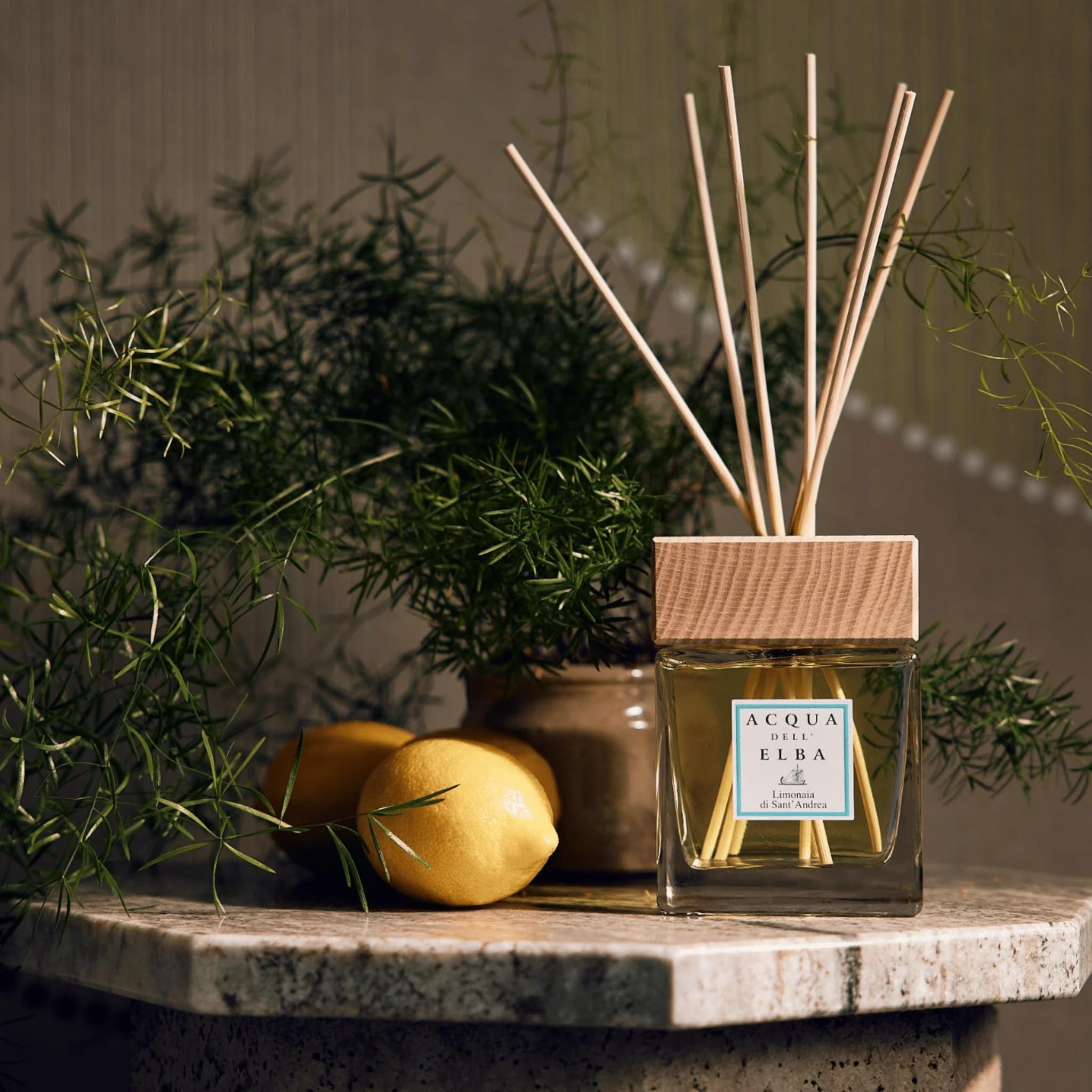 Foto 2 | Spray De Habitación Acqua Dell'elba Limonaia Di Sant' Andrea 100 Ml - Venta Internacional.
