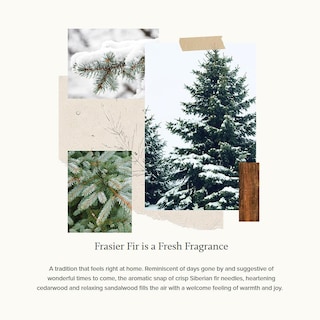 Foto 3 | Spray De Lino Thymes Frasier Frasier Con Aroma A Abeto 270 Ml - Venta Internacional.