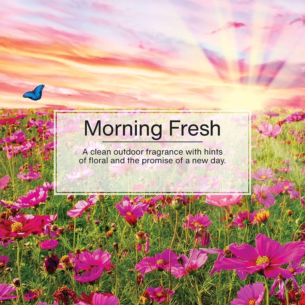 Foto 5 pulgar | Ambientador Little Trees Para Colgar En Coche Morning Fresh, 24 Unidades - Venta Internacional.