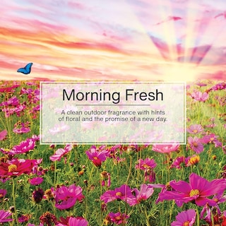 Foto 4 | Ambientador Little Trees Para Colgar En Coche Morning Fresh, 24 Unidades - Venta Internacional.