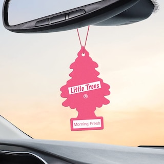 Foto 5 | Ambientador Little Trees Para Colgar En Coche Morning Fresh, 24 Unidades - Venta Internacional.