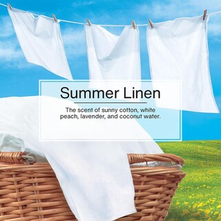 Foto 4 | Ambientador Little Trees Para Colgar En El Coche, Ropa De Cama De Verano, 24 Unidades - Venta Internacional.