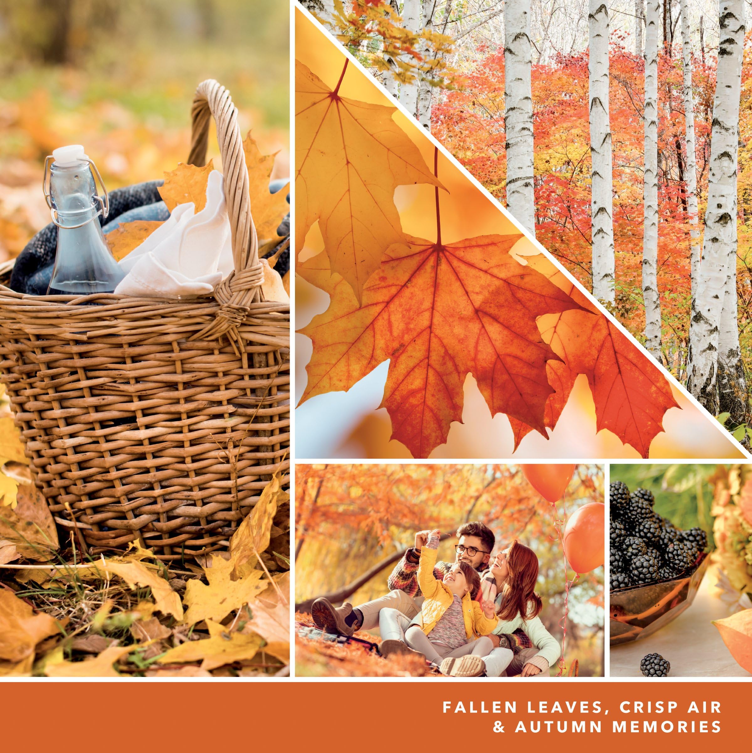 Foto 5 pulgar | Spray Ambientador Para Habitación Yankee Candle Autumn Leaves  45 Ml - Venta Internacional.