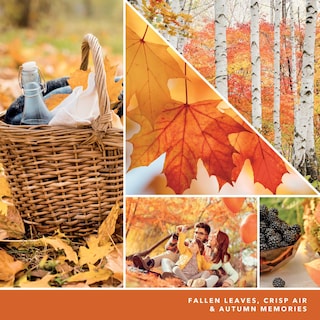 Foto 4 | Spray Ambientador Para Habitación Yankee Candle Autumn Leaves 45 Ml - Venta Internacional.