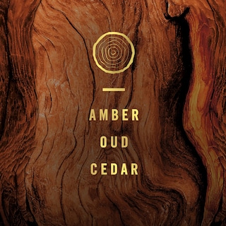 Foto 5 | Ambientador Febreze Origins Fade Defy Plug Wood 26 Ml X3 - Venta Internacional.