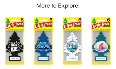 Foto 7 | Ambientador Little Trees Para Colgar En Coche Pino Real 24 Unidades - Venta Internacional.