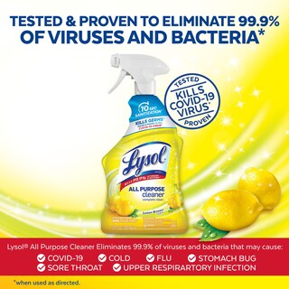 Foto 2 | Cleaner Lysol, Desinfectante Y Desinfectante Multiusos, 946 Ml - Venta Internacional.