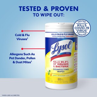 Foto 2 | Toallitas Desinfectantes Lysol Multi-surface Cleaning 240 Unidades - Venta Internacional.