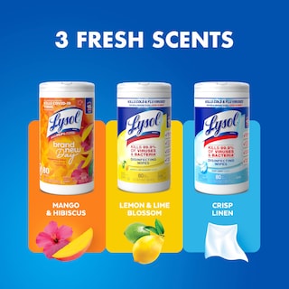 Foto 6 | Toallitas Desinfectantes Lysol Multi-surface Cleaning 240 Unidades - Venta Internacional.