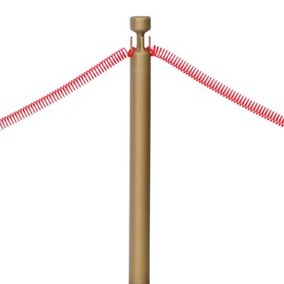 Foto 4 | Set Rope Stanchion Beistle Awards Night Vip Party, Rojo Y Bronce - Venta Internacional.
