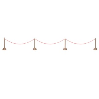 Foto 5 | Set Rope Stanchion Beistle Awards Night Vip Party, Rojo Y Bronce - Venta Internacional.